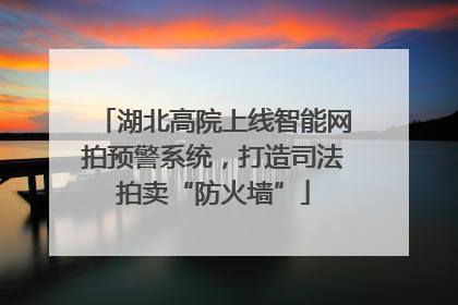 湖北高院上线智能网拍预警系统，打造司法拍卖“防火墙”
