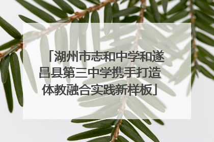 湖州市志和中学和遂昌县第三中学携手打造体教融合实践新样板