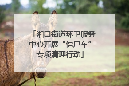 湘口街道环卫服务中心开展“僵尸车”专项清理行动
