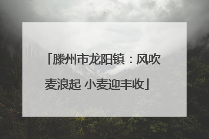 滕州市龙阳镇：风吹麦浪起 小麦迎丰收