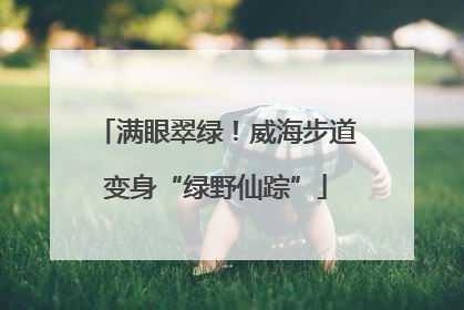 满眼翠绿！威海步道变身“绿野仙踪”