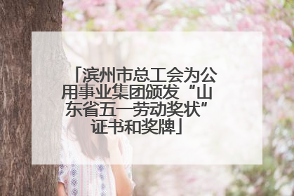 滨州市总工会为公用事业集团颁发“山东省五一劳动奖状”证书和奖牌
