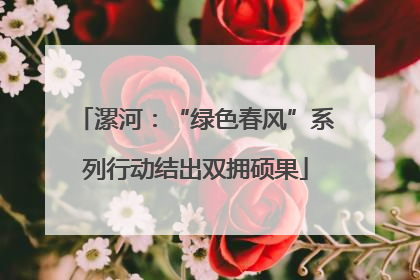 漯河：“绿色春风”系列行动结出双拥硕果