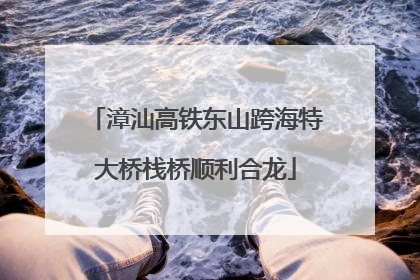 漳汕高铁东山跨海特大桥栈桥顺利合龙