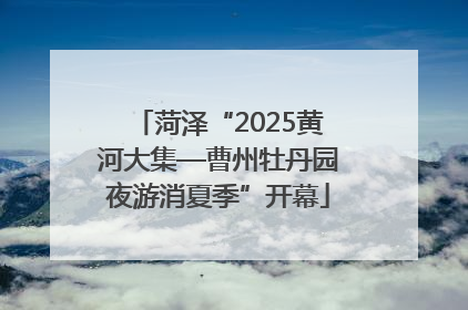 菏泽“2025黄河大集—曹州牡丹园夜游消夏季”开幕