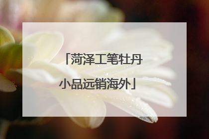 菏泽工笔牡丹小品远销海外
