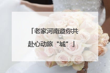 老家河南邀你共赴心动旅“城”