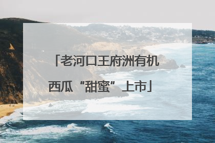 老河口王府洲有机西瓜“甜蜜”上市