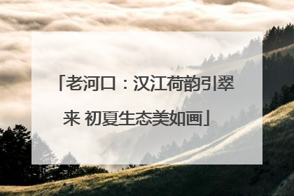 老河口：汉江荷韵引翠来 初夏生态美如画