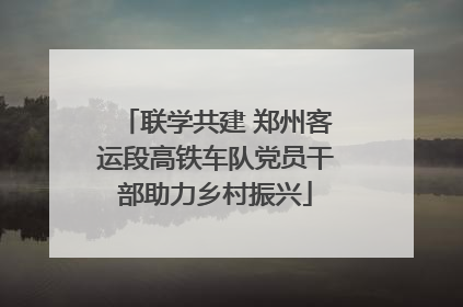联学共建 郑州客运段高铁车队党员干部助力乡村振兴