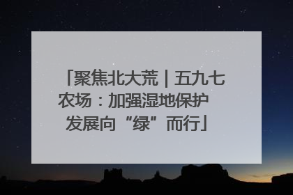聚焦北大荒｜五九七农场：加强湿地保护 发展向“绿”而行