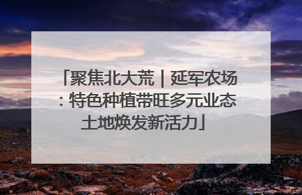 聚焦北大荒｜延军农场：特色种植带旺多元业态 土地焕发新活力