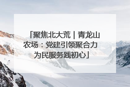 聚焦北大荒｜青龙山农场：党建引领聚合力 为民服务践初心