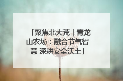 聚焦北大荒｜青龙山农场：融合节气智慧 深耕安全沃土