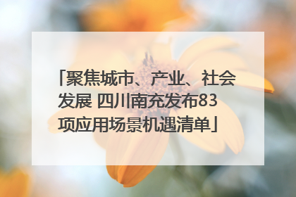 聚焦城市、产业、社会发展 四川南充发布83项应用场景机遇清单