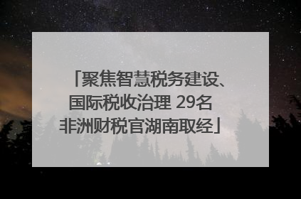 聚焦智慧税务建设、国际税收治理 29名非洲财税官湖南取经