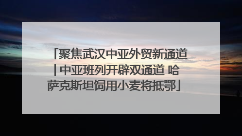 聚焦武汉中亚外贸新通道│中亚班列开辟双通道 哈萨克斯坦饲用小麦将抵鄂