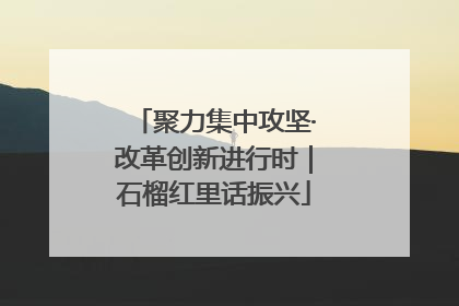 聚力集中攻坚·改革创新进行时｜石榴红里话振兴