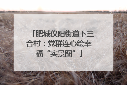肥城仪阳街道下三合村：党群连心绘幸福“实景图”