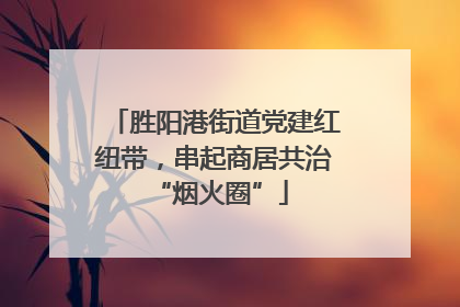 胜阳港街道党建红纽带，串起商居共治 “烟火圈”