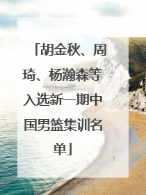 胡金秋、周琦、杨瀚森等入选新一期中国男篮集训名单