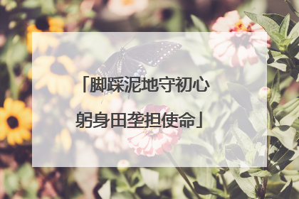 脚踩泥地守初心 躬身田垄担使命