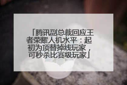 腾讯副总裁回应王者荣耀人机水平：起初为顶替掉线玩家，可秒杀比赛级玩家
