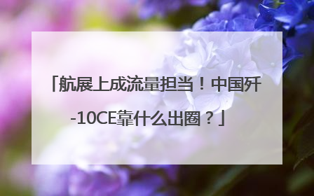 航展上成流量担当！中国歼-10CE靠什么出圈？