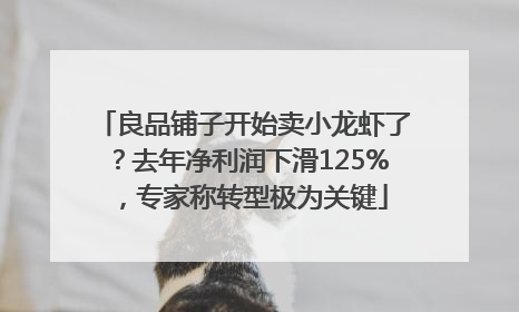 良品铺子开始卖小龙虾了？去年净利润下滑125%，专家称转型极为关键