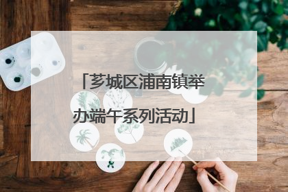芗城区浦南镇举办端午系列活动