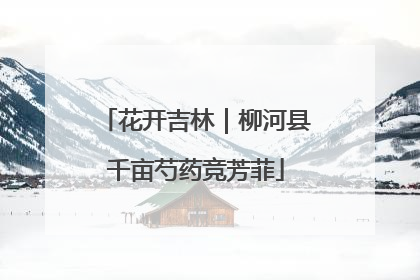 花开吉林｜柳河县千亩芍药竞芳菲