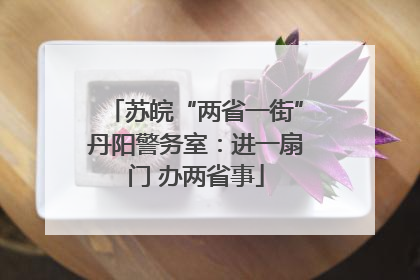 苏皖“两省一街”丹阳警务室：进一扇门 办两省事