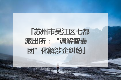 苏州市吴江区七都派出所：“调解智囊团”化解涉企纠纷