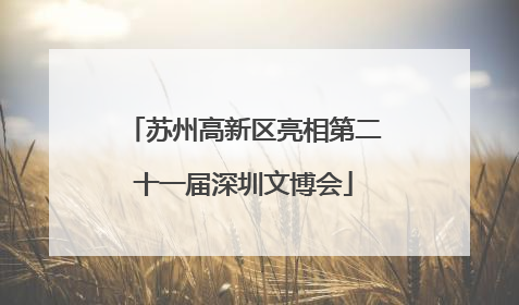 苏州高新区亮相第二十一届深圳文博会