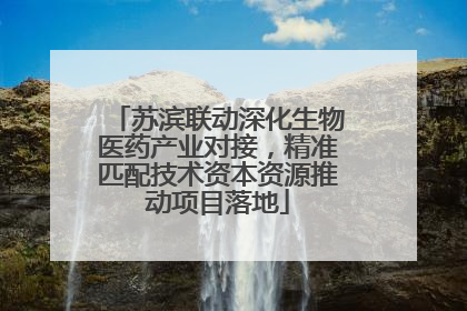 苏滨联动深化生物医药产业对接，精准匹配技术资本资源推动项目落地