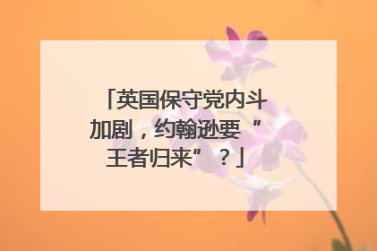 英国保守党内斗加剧，约翰逊要“王者归来”？