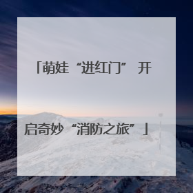 萌娃“进红门” 开启奇妙“消防之旅”
