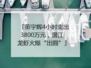 董宇辉4小时卖出3800万元，潜江龙虾火爆“出圈”