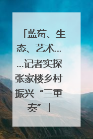 蓝莓、生态、艺术……记者实探张家楼乡村振兴“三重奏”