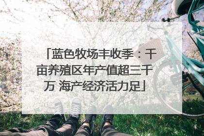 蓝色牧场丰收季：千亩养殖区年产值超三千万 海产经济活力足