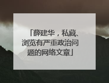 薛建华，私藏、浏览有严重政治问题的网络文章