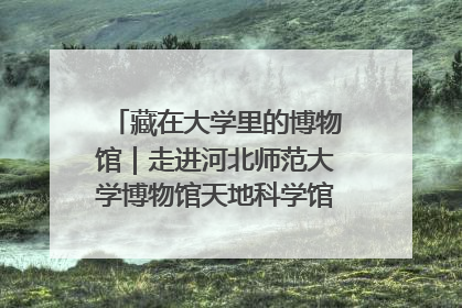藏在大学里的博物馆｜走进河北师范大学博物馆天地科学馆：在校园里赴一场“宇宙之约”