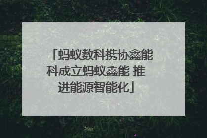 蚂蚁数科携协鑫能科成立蚂蚁鑫能 推进能源智能化