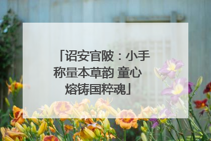 诏安官陂：小手称量本草韵 童心熔铸国粹魂