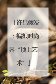 许昌假发：编织时尚界“顶上艺术”