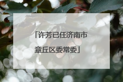 许芳已任济南市章丘区委常委