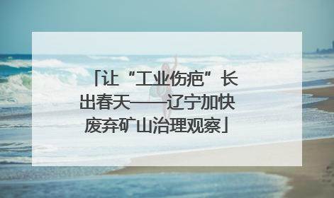 让“工业伤疤”长出春天——辽宁加快废弃矿山治理观察