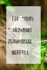 让“雪豹”成为想起青海时的温暖符号