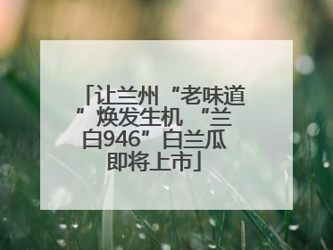 让兰州“老味道”焕发生机 “兰白946”白兰瓜即将上市