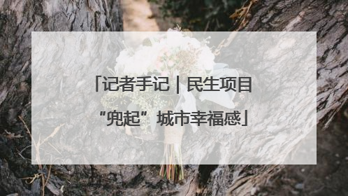 记者手记｜民生项目“兜起”城市幸福感